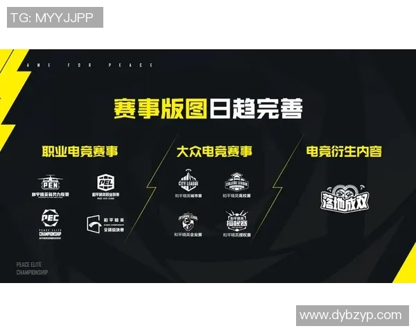 电竞数据揭秘和平精英成功背后的故事与刘丽的独特见解